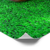 Croquetmateriaal op kunstgras poster (Hoek)