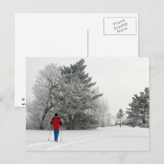 Cross-country Skiing op een kikkerende dag Briefkaart (Voorkant / Achterkant)