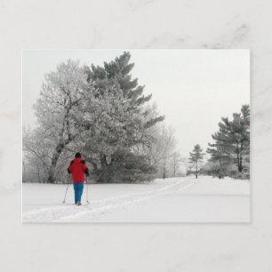 Cross-country Skiing op een kikkerende dag Briefkaart