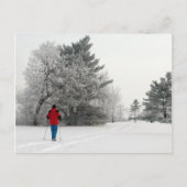 Cross-country Skiing op een kikkerende dag Briefkaart (Voorkant)