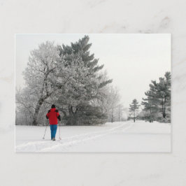 Cross-country Skiing op een kikkerende dag Briefkaart