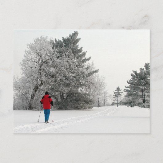 Cross-country Skiing op een kikkerende dag Briefkaart (Voorkant)