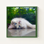 Cross-eyed cat notitieboek (Achterkant)