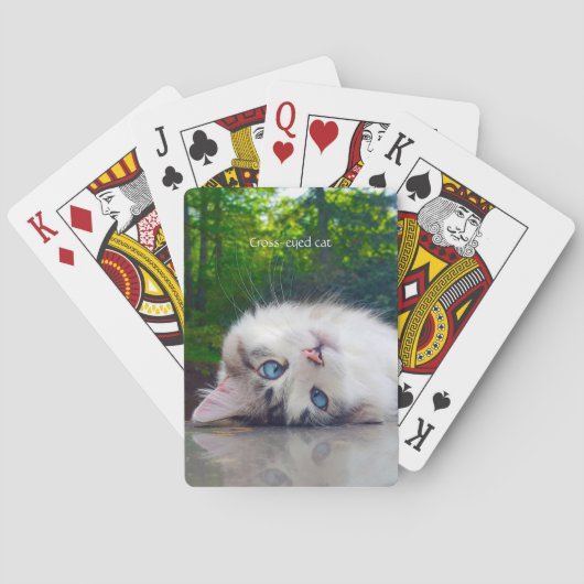 Cross-eyed cat pokerkaarten (Achterkant)