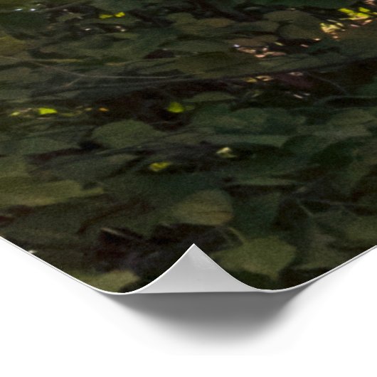 Cross on the Rocks Poster (Hoek)