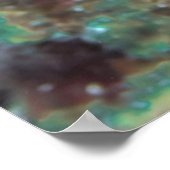 Crosseyed Snapper Poster (Hoek)