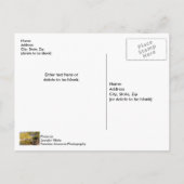 Crossing The Buffalo River Postcard Briefkaart (Achterkant)