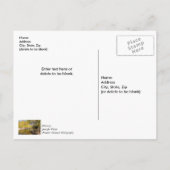 Crossing The Buffalo River Thank you Postcard Briefkaart (Achterkant)