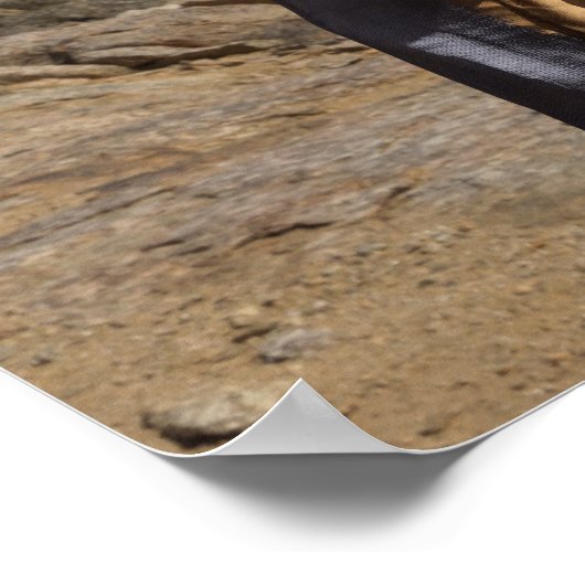 Crossing the Desert Fantasy Poster Print (Hoek)