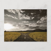 Crossroad bivio briefkaart (Voorkant)