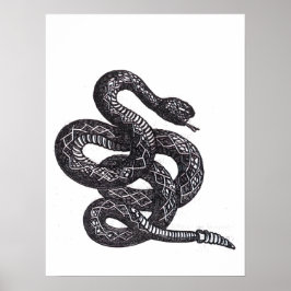 Crotalus Cascavella slang (giftige adder) Poster