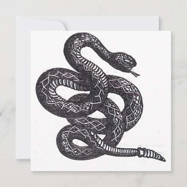 Crotalus Cascavella slang (giftige groefkopadder) (Voorkant)