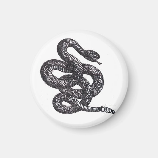 Crotalus Cascavella slang (giftige groefkopadder) Magneet (Voorkant)
