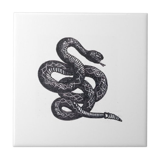 Crotalus Cascavella slang (giftige groefkopadder) Tegeltje (Voorkant)