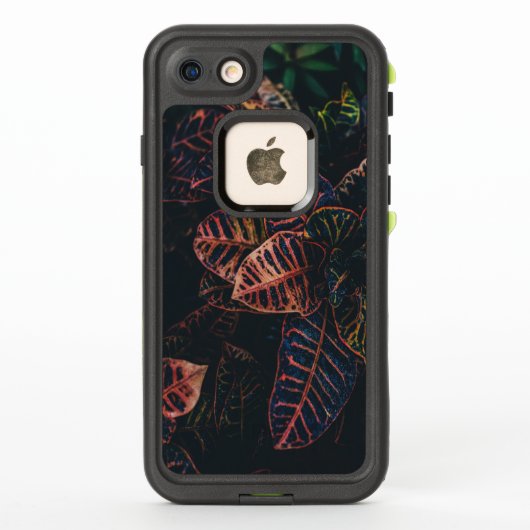 croton bladeren FRANS® voor Apple iPhone 7 (Achterkant)