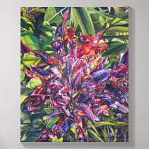 Croton-bladeren kleurrijke, levendige bloemenschil