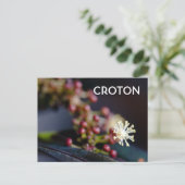 Croton bloem briefkaart (Staand voorkant)