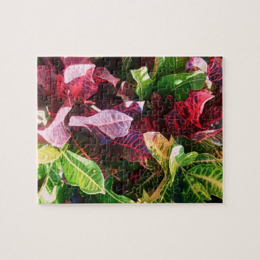 *Croton* Jigzaag Puzzle Legpuzzel (Horizontaal)