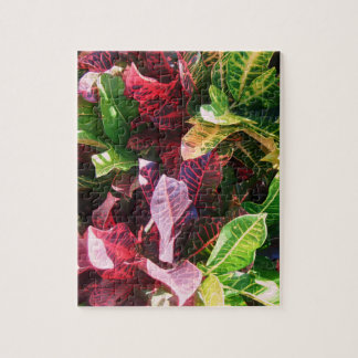 *Croton* Jigzaag Puzzle Legpuzzel