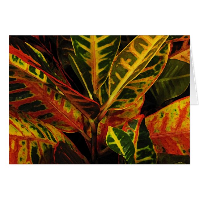 Croton Leaves Abstract (Voorkant Horizontaal)