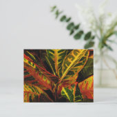 Croton Leaves Abstract Briefkaart (Staand voorkant)