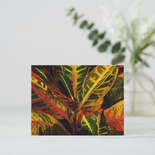 Croton Leaves Abstract Briefkaart (Staand voorkant)
