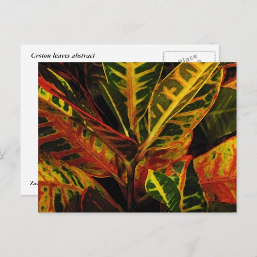 Croton Leaves Abstract Briefkaart (Voorkant / Achterkant)
