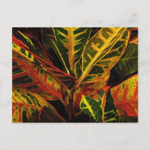 Croton Leaves Abstract Briefkaart