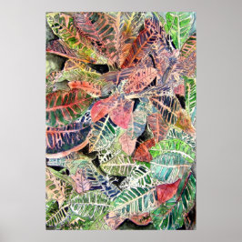 croton_plant_schilderij poster