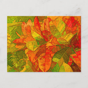 Croton Variegatum Plant Briefkaart
