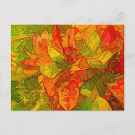 Croton Variegatum Plant Briefkaart