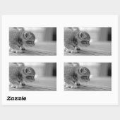Crouching Kitten Rechthoekige Sticker (Vel)