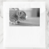 Crouching Kitten Rechthoekige Sticker (Tas)