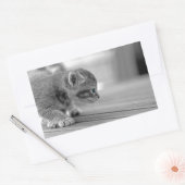 Crouching Kitten Rechthoekige Sticker (Envelop)