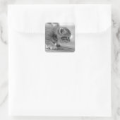 Crouching Kitten Vierkante Sticker (Tas)