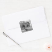 Crouching Kitten Vierkante Sticker (Envelop)