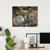 Crouching Squirrel Poster (Thuiskantoor)