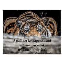Crouching Tiger inspirational poster
