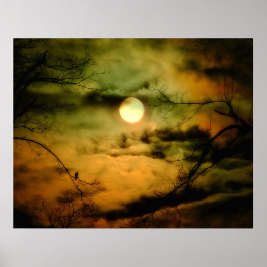 Crow and the Ominous Sky Poster (Voorkant)