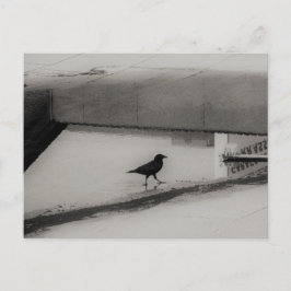 Crow and Water Puddle with Rooftop Reflections 3 Briefkaart