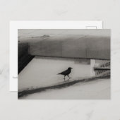 Crow and Water Puddle with Rooftop Reflections 3 Briefkaart (Voorkant / Achterkant)