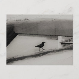 Crow and Water Puddle with Rooftop Reflections 3 Briefkaart