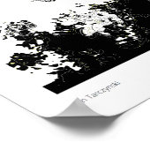 Crow Artifact Poster (Hoek)