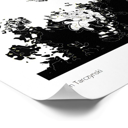 Crow Artifact Poster (Hoek)