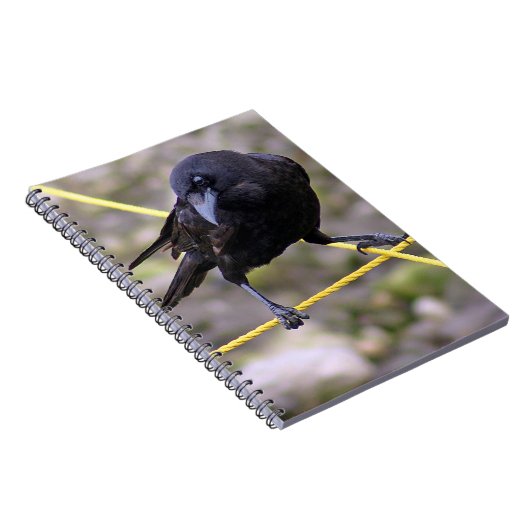 Crow at the Crossroad Notitieboek (Rechterzijde)