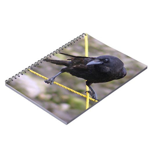 Crow at the Crossroad Notitieboek (Linkerzijde)