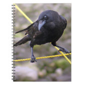 Crow at the Crossroad Notitieboek (Voorkant)
