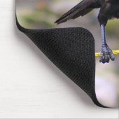 Crow bij Crossroad Muismat (Hoek)