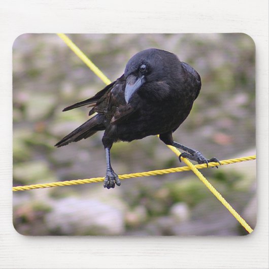 Crow bij Crossroad Muismat (Voorkant)