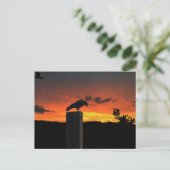 Crow bij Sunset Briefkaart (Staand voorkant)